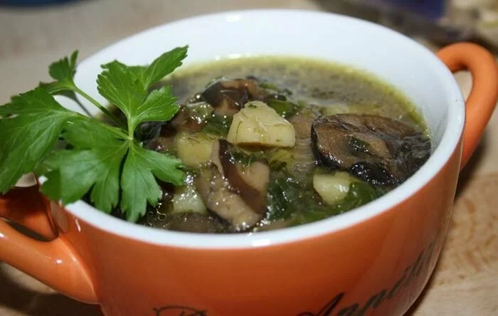Суп со свежими грибами